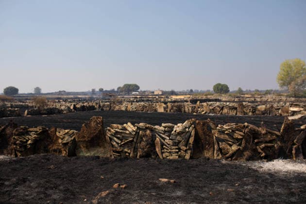 Residents of 12 of the 14 towns evacuated due to the Fermoselle fire have been relocated, and restrictions have been lifted in two municipalities. House destroyed by a wildfire, as of July 31, 2026, in Formariz, Zamora, Castile and León, Spain. Castile and León Civil Protection reported on Friday that residents evacuated due to the Fermoselle fire in Zamora—from the towns of Pasariegos, Villar del Buey, Dehesa de Pedraza, Cibanal, Formariz, Muga de Sayago, Tudera, Arganín, Badilla, Cozcurrita, Zafara, Palazuelo de Sayago, and Fornillos de Fermoselle, while lockdown measures have been lifted in the municipalities of Fermoselle and Fariza, and the towns of Mámoles and Pinilla de Fermoselle remain evacuated. Thus, only the towns of Mámoles an  Copyright: xPalomaxV.xEscarpax 7697494
