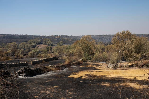 Residents of 12 of the 14 towns evacuated due to the Fermoselle fire have been relocated, and restrictions have been lifted in two municipalities. House destroyed by a wildfire, as of July 31, 2026, in Fornillos de Fermoselle, Zamora, Castile and León, Spain. Castile and León Civil Protection reported on Friday that residents evacuated due to the Fermoselle fire in Zamora—from the towns of Pasariegos, Villar del Buey, Dehesa de Pedraza, Cibanal, Formariz, Muga de Sayago, Tudera, Arganín, Badilla, Cozcurrita, Zafara, Palazuelo de Sayago, and Fornillos de Fermoselle, while lockdown measures have been lifted in the municipalities of Fermoselle and Fariza, and the towns of Mámoles and Pinilla de Fermoselle remain evacuated. Thus, only the town  Copyright: xPalomaxV.xEscarpax 7697499