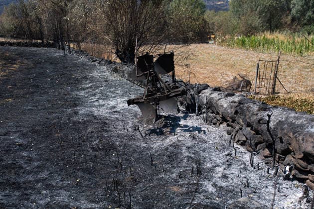 Residents of 12 of the 14 towns evacuated due to the Fermoselle fire have been relocated, and restrictions have been lifted in two municipalities. Land scorched by a wildfire, as of July 31, 2026, in Fornillos de Fermoselle, Zamora, Castile and León, Spain. Castile and León Civil Protection reported this Friday that residents evacuated due to the Fermoselle fire in Zamora from the towns of Pasariegos, Villar del Buey, Dehesa de Pedraza, Cibanal, Formariz, Muga de Sayago, Tudera, Arganín, Badilla, Cozcurrita, Zafara, Palazuelo de Sayago, and Fornillos de Fermoselle, while lockdown measures have been lifted in the municipalities of Fermoselle and Fariza, and the towns of Mámoles and Pinilla de Fermoselle remain evacuated. Thus, only the town  Copyright: xPalomaxV.xEscarpax 7697503