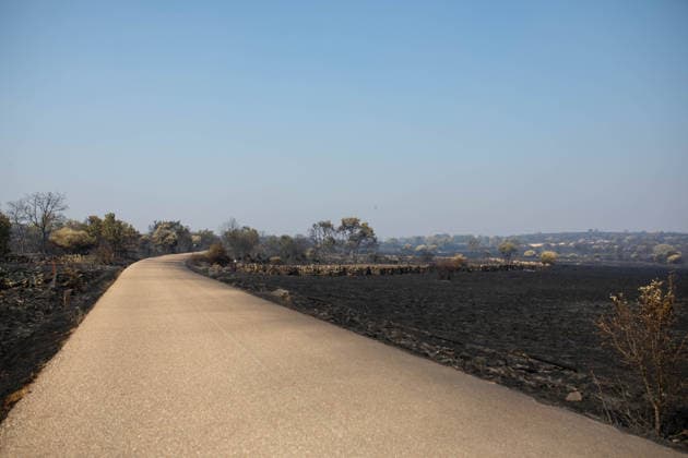 Residents of 12 of the 14 towns evacuated due to the Fermoselle fire have been relocated, and restrictions have been lifted in two municipalities. Land scorched by a wildfire, as of July 31, 2026, between Muga and Formariz, Zamora, Castile and León, Spain. Castile and León Civil Protection reported on Friday that residents evacuated due to the Fermoselle fire in Zamora—from the towns of Pasariegos, Villar del Buey, Dehesa de Pedraza, Cibanal, Formariz, Muga de Sayago, Tudera, Arganín, Badilla, Cozcurrita, Zafara, Palazuelo de Sayago, and Fornillos de Fermoselle, while lockdown measures have been lifted in the municipalities of Fermoselle and Fariza, and the towns of Mámoles and Pinilla de Fermoselle remain evacuated. As a result, only the  Copyright: xPalomaxV.xEscarpax 7697507
