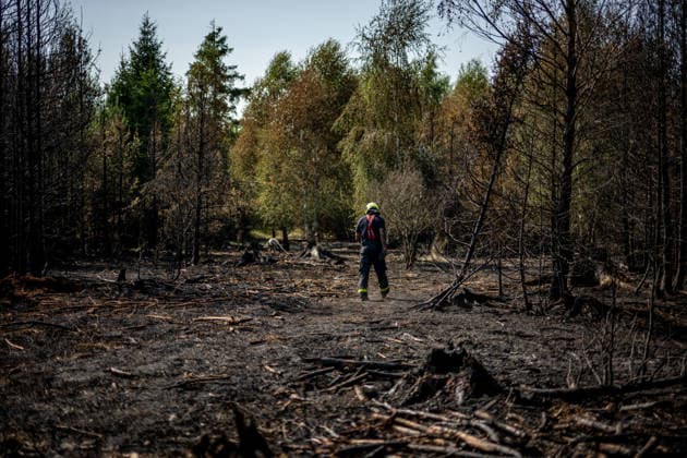 Forest fire extinguishing in the Czech Republic VETRKOVICE, CZECH REPUBLIC - JULY 31: Czech firefighters extinguish a forest and field fire covering an area of ??27 hectares in Vetrkovice (Moravian-Silesian Region), Czech Republic on July 31, 2026. According to a fire department spokesperson, 13 firefighting units are responding. Firefighters are also continuously monitoring the situation using drones, which provide an overview of the fire s development and help manage firefighting efforts. Work will continue into the next night. Lukas Kabon Anadolu Vetrkovice Czech Republic. Editorial use only. Please get in touch for any other usage.  Copyright: x2026xAnadoluxLukasxKabonx