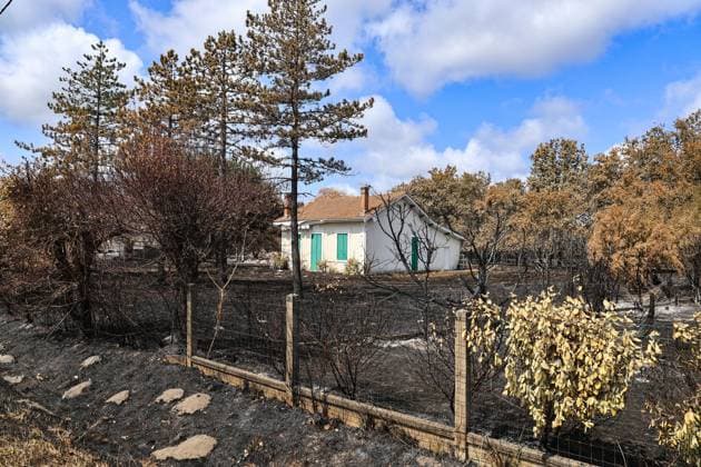 Fire in the Gironde region near Saumos: The town of Le Porge PHOTOPQR SUD OUEST Photo by Fabien Cottereau Le Porge, July 31, 2026 Fire in the Gironde region near Saumos: Avenue du Bassin d’Arcachon, between the town of Le Porge and Lège-Cap-Ferret, and the municipality of Lège-Cap-Ferret—it’s an apocalyptic landscape; it feels like we’re in Oradour-sur-Glane. Le Porge, July 31, 2026 Saumos fire in Gironde The Avenue du Bassin d’Arcachon—between the town of Le Porge and Lège-Cap-Ferret—and the municipality of Lège-Cap-Ferret present an apocalyptic landscape Le Porge 20 Gironde France  Copyright: xPHOTOPQR SUDxOUEST MAXPPPxPhotoxFabienxCottereaux 20260731SDO1407 20260731SDO1407