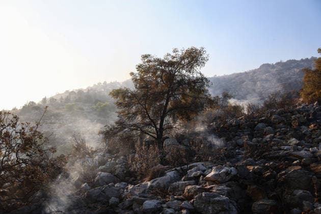 Forest fire in the Western Athens ATHENS, GREECE - JULY 31: Firefighting forces and volunteer groups work to extinguish a wildfire burning on a hill in Haidari, western Athens, Greece, on July 31, 2026. Dimitris Kapantais Anadolu Athens Greece. Editorial use only. Please get in touch for any other usage.  Copyright: x2026xAnadoluxDimitrisxKapantaisx