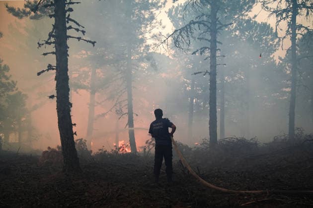 Firefighting efforts continue in Aydin s Cine AYDIN, TURKIYE - JULY 31: Firefighters extinguish fire at a forested area as aerial and ground crews continue battling a wildfire in the Cine district of Aydin, Turkiye on July 31, 2026. Mahmut Serdar Alakus Anadolu Aydin Turkey. Editorial use only. Please get in touch for any other usage.  Copyright: x2026xAnadoluxMahmutxSerdarxAlakusx