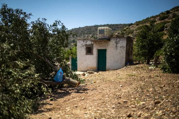Israeli Settlers Cut Down Lemon Trees in Wadi Kana WADI KANA, Salfit, West Bank July 31, 2026: Seventeen lemon trees are cut down after Israeli settlers entered a family s property in Wadi Kana, on the lands of Deir Istiya in the Salfit Governorate, late on Wednesday night. The settlers also damaged the entrance gate to the property. Salfit PS Copyright: x xRomanxLevinx xJNAxPressx