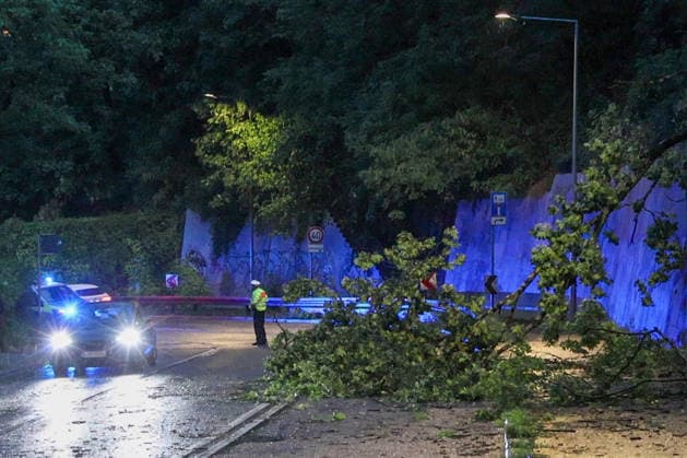 Unwetter in der Landeshauptstadt, Ein Baum liegt nach einem Unwetter am Abend auf einer Straße in Stuttgart. Stuttgart Baden-Württemberg Deutschland Stuttgart *** Severe weather in the state capital; a tree lies across a street in Stuttgart following an evening storm. Stuttgart, Baden-Württemberg, Germany. Stuttgart Copyright: x xonw-imagesx xDanielxKesslerx