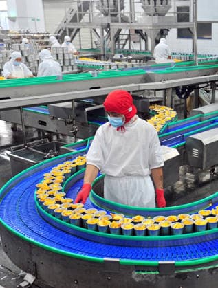 YICHANG, CHINA - AUGUST 01: Workers process yellow peaches on an automated production line at the fruit workshop of Qugu International Agriculture Group on August 1, 2026 in Zigui, Hubei Province of China.  Copyright: xVCGx 111657565618