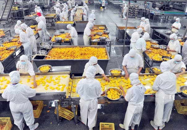 YICHANG, CHINA - AUGUST 01: Workers process yellow peaches on an automated production line at the fruit workshop of Qugu International Agriculture Group on August 1, 2026 in Zigui, Hubei Province of China.  Copyright: xVCGx 111657565610
