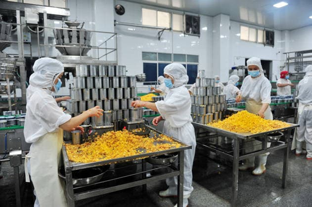 YICHANG, CHINA - AUGUST 01: Workers process yellow peaches on an automated production line at the fruit workshop of Qugu International Agriculture Group on August 1, 2026 in Zigui, Hubei Province of China.  Copyright: xVCGx 111657565612