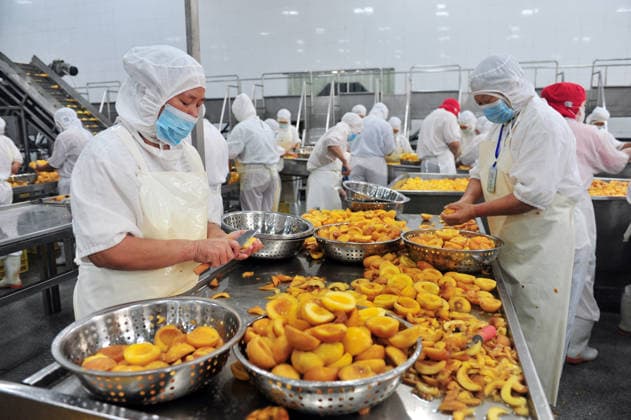 YICHANG, CHINA - AUGUST 01: Workers process yellow peaches on an automated production line at the fruit workshop of Qugu International Agriculture Group on August 1, 2026 in Zigui, Hubei Province of China.  Copyright: xVCGx 111657565613