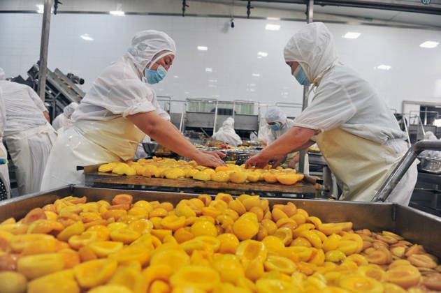 YICHANG, CHINA - AUGUST 01: Workers process yellow peaches on an automated production line at the fruit workshop of Qugu International Agriculture Group on August 1, 2026 in Zigui, Hubei Province of China.  Copyright: xVCGx 111657565615