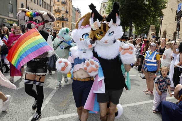 STOCKHOLM, SVERIGE 20260801 Prideparaden gar fran Norr Mälarstrand till Slussen under arets Stockholm Pride STOCKHOLM SVERIGE x11700x *** STOCKHOLM, SWEDEN 20260801 The Pride parade runs from Norr Mälarstrand to Slussen during this year s Stockholm Pride STOCKHOLM SWEDEN x11700x  Copyright: xMagnusxGrimstedt TTx STOCKHOLM PRIDE 8UYTWhnyD6A