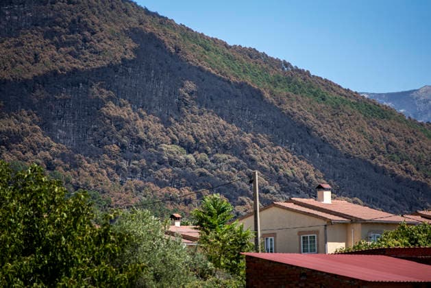The Burgohondo fire in Ávila is progressing as expected, and 50 firefighters from Catar have been deployed. View of the burned area in the Tiétar Valley, as of August 1, 2026, in Ávila, Castile and León, Spain. The regional delegate of the Regional Government in Ávila, José Francisco Hernández Herrero, has stated that the Burgohondo wildfire is progressing as expected and has expressed confidence that it will be fully contained in the coming hours or days, although for the time being it remains at Level 2 on the Potential Severity Index (IGR 2) August 2, 2026 FIRE NATURAL DISASTER BURNT LANDSCAPE CHARRED SMOKE GARDEN TIÉTAR VALLEY LA ADRADA CASAVIEJA PIEDRALAVES Ávila, Castile and León Ávila, Castile and León Spain  Copyright: xGabrixSolerax 7698491
