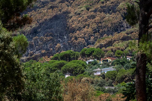 The Burgohondo fire in Ávila is progressing as expected, and 50 firefighters from Catar have been deployed. View of the burned area in the Tiétar Valley, as of August 1, 2026, in Ávila, Castile and León, Spain. The regional delegate of the Regional Government in Ávila, José Francisco Hernández Herrero, has stated that the Burgohondo wildfire is progressing as expected and has expressed confidence that it will be fully contained in the coming hours or days, although for the time being it remains at Level 2 on the Potential Severity Index (IGR 2) August 2, 2026 FIRE NATURAL DISASTER BURNT LANDSCAPE CHARRED SMOKE GARDEN TIÉTAR VALLEY LA ADRADA CASAVIEJA PIEDRALAVES Ávila, Castile and León Ávila, Castile and León Spain  Copyright: xGabrixSolerax 7698497