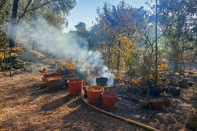 The fire in Burgohondo, Ávila, is progressing as expected, and 50 firefighters from Catar have been deployed. Burned plants at the La Adrada Botanical Garden, as of August 1, 2026, in Ávila, Castile and León, Spain. The regional delegate of the Regional Government in Ávila, José Francisco Hernández Herrero, has stated that the Burgohondo wildfire is progressing as expected and has expressed confidence that it can be brought under complete control in the coming hours or days, although for the time being it remains at Level 2 on the Potential Severity Index (IGR) 2 AUGUST 2026 FIRE NATURAL FIRE BURNT LANDSCAPE CHARRED SMOKE GARDEN TIÉTAR VALLEY LA ADRADA CASAVIEJA PIEDRALAVES La Adrada, Ávila, Castile and León La Adrada, Ávila, Castile and L  Copyright: xGabrixSolerax 7698513