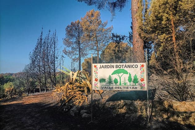 The fire in Burgohondo, Ávila, is progressing as expected, and 50 firefighters from Catar Interior at the La Adrada Botanical Garden have been deployed, as of August 1, 2026, in Ávila, Castile and León, Spain. The regional delegate of the Regional Government in Ávila, José Francisco Hernández Herrero, has stated that the Burgohondo wildfire is progressing as expected and has expressed confidence that it will be fully contained in the coming hours or days, although for the time being it remains at Level 2 on the Potential Severity Index (IGR) 2 AUGUST 1, 2026 FIRE NATURAL DISASTER BURNT LANDSCAPE CHARRED SMOKE GARDEN TIÉTAR VALLEY LA ADRADA CASAVIEJA PIEDRALAVES SCULPTURE La Adrada, Ávila, Castile and León La Adrada, Ávila, Castile and León  Copyright: xGabrixSolerax 7698522