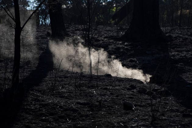 The Burgohondo fire in Ávila is progressing as expected, and 50 firefighters from Catar have been deployed to the burned area at the Pinara Dam in La Adrada, as of August 1, 2026, in Ávila, Castile and León, Spain. The regional delegate of the Regional Government in Ávila, José Francisco Hernández Herrero, has stated that the Burgohondo wildfire is progressing as expected and has expressed confidence that it can be brought under complete control in the coming hours or days, although for the time being it remains at Level 2 on the Potential Severity Index (IGR) 2 AUGUST 2026 FIRE NATURAL FIRE BURNT LANDSCAPE CHARRED SMOKE GARDEN TIÉTAR VALLEY LA ADRADA CASAVIEJA PIEDRALAVES SCULPTURE DONKEYS La Adrada, Ávila, Castile and León La Adrada, Ávi  Copyright: xGabrixSolerax 7698526