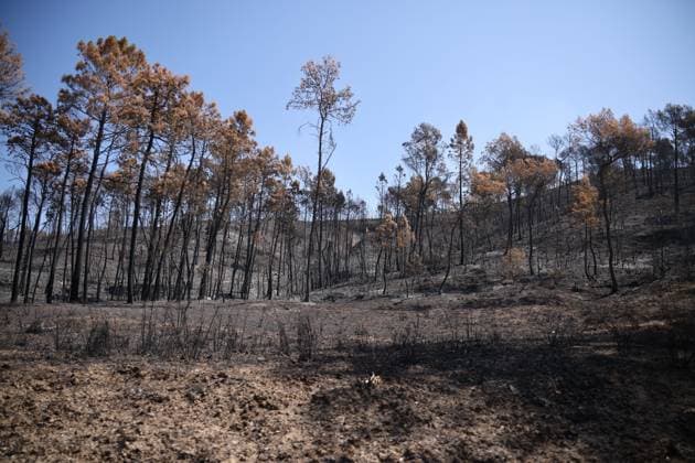 fires in the Var PHOTOPQR LA PROVENCE PHILIPPE LAURENSON Var August 1, 2026 fires in the Var Var August 1, 2026 fires in the Var Var Var France  Copyright: xPHOTOPQR LAxPROVENCE MAXPPPxPHILIPPExLAURENSONx 20260801PVL2883 20260801PVL2883