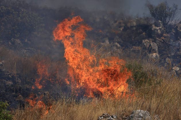IPA87163964 - In the photo, a massive fire has engulfed the Mirto area; forest rangers, firefighters, civil defense personnel, and two helicopters are on the scene.  Copyright: xAlbertoxLoxBiancox xAlbertoxLoxBiancox 87163964