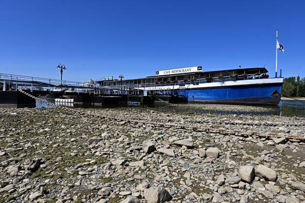 Die anhaltende Hitzewelle führt weiter zu starkem Niedrigwasser im Rhein und lässt die Pegelstände weiter sinken.Binnenfrachtschiffe können wegen des geringen Wasserstands nicht mehr voll beladen werden.Im Kölner Stadtteil Rodenkirchen liegt ein Restaurantschiff schon auf dem Trockenen,fotografiert am 01.August 2026. Die Fotos sind authentisch und nicht mit KI-bearbeitet!!!! Â *** The ongoing heat wave continues to cause severely low water levels in the Rhine, causing water levels to drop further. Due to the low water levels, inland cargo ships can no longer be fully loaded. In the Rodenkirchen district of Cologne, a restaurant ship is already sitting on dry land,photographed on August 1, 2026. The photos are authentic and have not bee