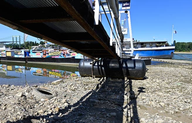 Die anhaltende Hitzewelle führt weiter zu starkem Niedrigwasser im Rhein und lässt die Pegelstände weiter sinken.Binnenfrachtschiffe können wegen des geringen Wasserstands nicht mehr voll beladen werden.Im Kölner Stadtteil Rodenkirchen liegt ein Restaurantschiff schon auf dem Trockenen,fotografiert am 01.August 2026. Die Fotos sind authentisch und nicht mit KI-bearbeitet!!!! Â *** The ongoing heat wave continues to cause severely low water levels in the Rhine, causing water levels to drop further. Due to the low water levels, inland cargo ships can no longer be fully loaded. In the Rodenkirchen district of Cologne, a restaurant ship is already sitting on dry land,photographed on August 1, 2026. The photos are authentic and have not bee