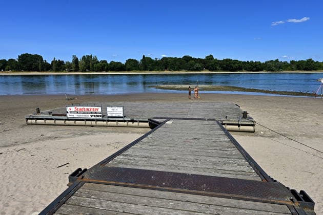 Die anhaltende Hitzewelle führt weiter zu starkem Niedrigwasser im Rhein und lässt die Pegelstände weiter sinken.Binnenfrachtschiffe können wegen des geringen Wasserstands nicht mehr voll beladen werden.Im Kölner Stadtteil Rodenkirchen liegt ein Steg vom Kölner Ruderverein schon auf dem Trockenen,Ruderboote können nicht zu Wasser gelassen werden,fotografiert am 01.August 2026. Die Fotos sind authentisch und nicht mit KI-bearbeitet!!!! Â *** The ongoing heat wave continues to cause severely low water levels in the Rhine, causing water levels to drop further. Inland cargo ships can no longer be fully loaded due to the low water levels. In the Rodenkirchen district of Cologne, a dock belonging to the Cologne Rowing Club is already sitti