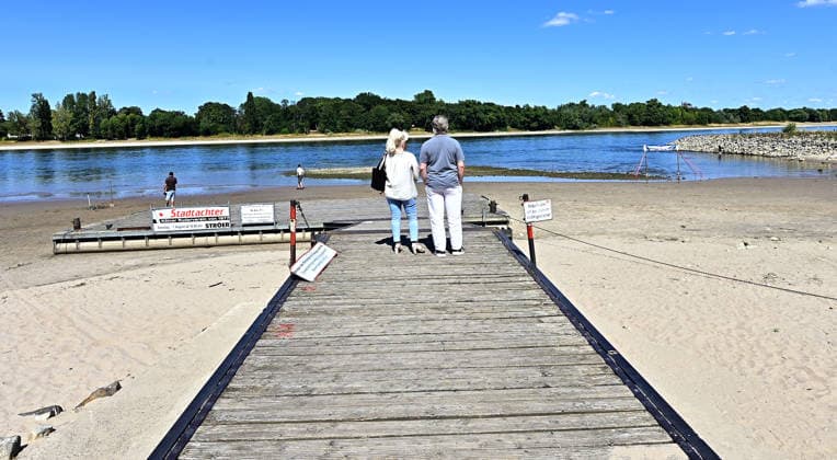Die anhaltende Hitzewelle führt weiter zu starkem Niedrigwasser im Rhein und lässt die Pegelstände weiter sinken.Binnenfrachtschiffe können wegen des geringen Wasserstands nicht mehr voll beladen werden.Im Kölner Stadtteil Rodenkirchen liegt ein Steg vom Kölner Ruderverein schon auf dem Trockenen,Ruderboote können nicht zu Wasser gelassen werden,fotografiert am 01.August 2026. Die Fotos sind authentisch und nicht mit KI-bearbeitet!!!! Â *** The ongoing heat wave continues to cause severely low water levels in the Rhine, causing water levels to drop further. Inland cargo ships can no longer be fully loaded due to the low water levels. In the Rodenkirchen district of Cologne, a dock belonging to the Cologne Rowing Club is already sitti
