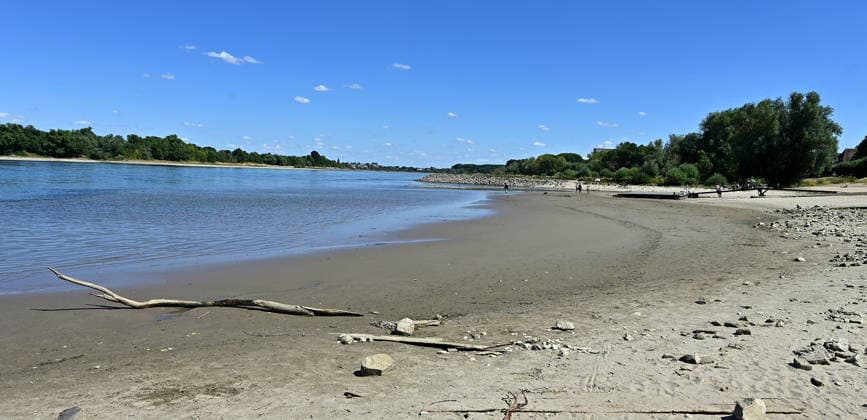 Die anhaltende Hitzewelle führt weiter zu starkem Niedrigwasser im Rhein und lässt die Pegelstände weiter sinken.Binnenfrachtschiffe können wegen des geringen Wasserstands nicht mehr voll beladen werden.Im Kölner Stadtteil Rodenkirchen liegt ein Steg vom Kölner Ruderverein schon auf dem Trockenen,Ruderboote können nicht zu Wasser gelassen werden,fotografiert am 01.August 2026. Die Fotos sind authentisch und nicht mit KI-bearbeitet!!!! Â *** The ongoing heat wave continues to cause severely low water levels in the Rhine, causing water levels to drop further. Inland cargo ships can no longer be fully loaded due to the low water levels. In the Rodenkirchen district of Cologne, a dock belonging to the Cologne Rowing Club is already sitti