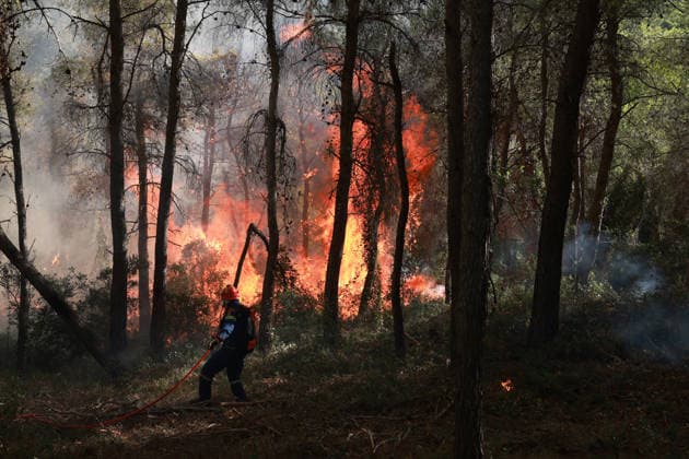 Firefighters battle wildfire in Viotia with air and ground operations VIOTIA, GREECE - AUGUST 2: Firefighters battle a wildfire burning near Porto Germeno, 70 kilometres northwest of Athens in the region of Viotia, Greece, on August 2, 2026 Costas Baltas Anadolu Viotia Greece. Editorial use only. Please get in touch for any other usage.  Copyright: x2026xAnadoluxCostasxBaltasx