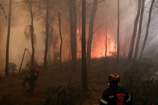Firefighters battle wildfire in Viotia with air and ground operations VIOTIA, GREECE - AUGUST 2: Firefighters battle a wildfire burning near Porto Germeno, 70 kilometres northwest of Athens in the region of Viotia, Greece, on August 2, 2026 Costas Baltas Anadolu Viotia Greece. Editorial use only. Please get in touch for any other usage.  Copyright: x2026xAnadoluxCostasxBaltasx