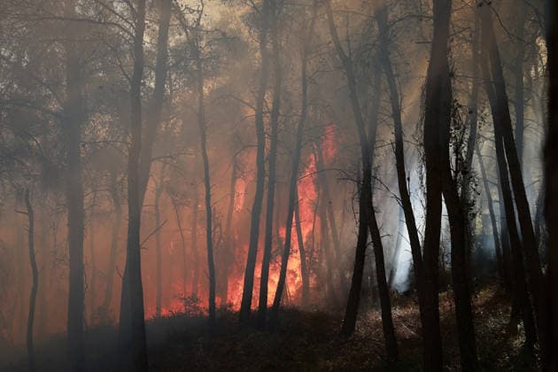Firefighters battle wildfire in Viotia with air and ground operations VIOTIA, GREECE - AUGUST 2: Firefighters battle a wildfire burning near Porto Germeno, 70 kilometres northwest of Athens in the region of Viotia, Greece, on August 2, 2026 Costas Baltas Anadolu Viotia Greece. Editorial use only. Please get in touch for any other usage.  Copyright: x2026xAnadoluxCostasxBaltasx