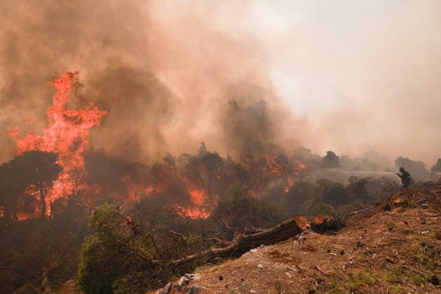 Firefighters battle wildfire in Viotia with air and ground operations VIOTIA, GREECE - AUGUST 2: A view of wildfire as volunteers battle a wildfire burning near Porto Germeno, 70 kilometres northwest of Athens in the region of Viotia, Greece, on August 2, 2026 Costas Baltas Anadolu Viotia Greece. Editorial use only. Please get in touch for any other usage.  Copyright: x2026xAnadoluxCostasxBaltasx