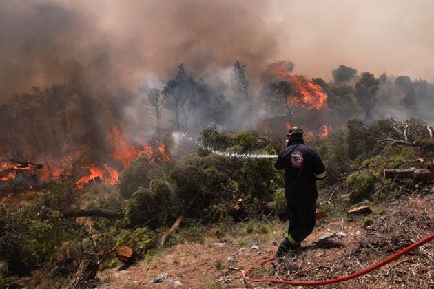 News Bilder des Tages Firefighters battle wildfire in Viotia with air and ground operations VIOTIA, GREECE - AUGUST 2: Volunteers battle a wildfire burning near Porto Germeno, 70 kilometres northwest of Athens in the region of Viotia, Greece, on August 2, 2026 Costas Baltas Anadolu Viotia Greece. Editorial use only. Please get in touch for any other usage.  Copyright: x2026xAnadoluxCostasxBaltasx