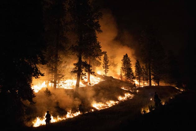 August 2, 2026, Prineville, Or, United States: Flames burn through a forested area along U.S. Highway 26 at the Rowe Creek Complex fire, July 27, 2026 near Prineville, Oregon. The lightning-caused fires including the Brewer, Green Mountain and Crosswhite fires combined into one and have burnt 3000,597 acres and is 57% contained. Prineville United States - ZUMAp138 20260802_zaa_p138_006 Copyright: xAndrewxAvitt UsxForestx