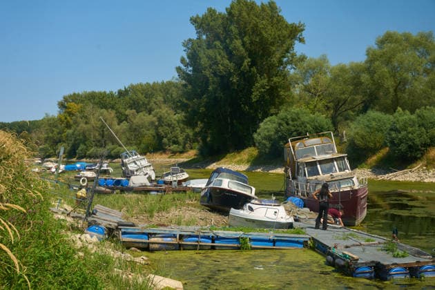 News Bilder des Tages Im Sportboothafen von Nackenheim liegen Botte auf den Trockenen. Der Hafen liegt in einem toten Rheinarm, dessen Pegel aufgrund der Trockenheit kontinuierlich sinkt. Niedrgwasser am Rhein *** Boats are sitting on dry land at the Nackenheim marina. The marina is located in a dead arm of the Rhine, where the water level is steadily dropping due to the drought. Low water levels on the Rhine DSC05140.jpg