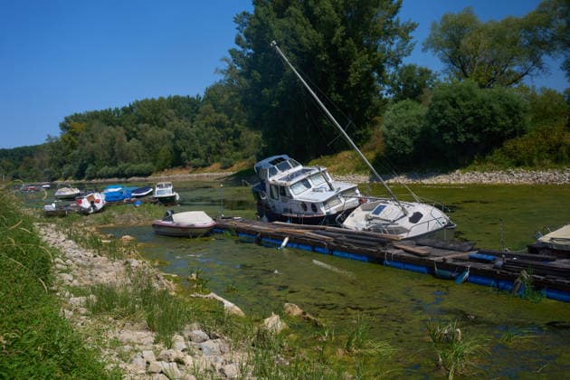 Im Sportboothafen von Nackenheim liegen Botte auf den Trockenen. Der Hafen liegt in einem toten Rheinarm, dessen Pegel aufgrund der Trockenheit kontinuierlich sinkt. Niedrgwasser am Rhein *** Boats are sitting on dry land at the Nackenheim marina. The marina is located in a dead arm of the Rhine, where the water level is steadily dropping due to the drought. Low water levels on the Rhine DSC05144.jpg