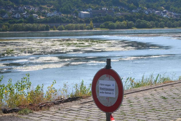 Die Rheinfähre in Lorch hat wegen des niedrigen Rheinpegels den Betrieb eingestellt Niedrgwasser am Rhein *** The Rhine ferry in Lorch has suspended operations due to low water levels on the Rhine. Low water levels on the Rhine DSC05166.jpg