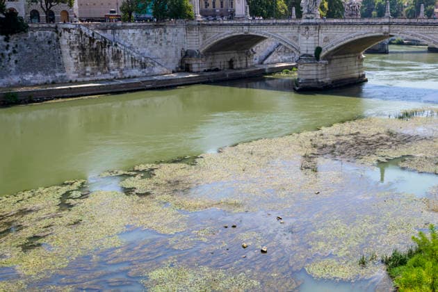 August 2, 2026, Rome, Italy: A stretch of the Tiber River shows evidence of a drop in water level and an increase in algae due to the prolonged lack of rain on the first day of the peak of the fourth heat wave currently affecting Italy and Rome. Italy is facing the peak of the fourth severe heat wave of the summer, fueled by the persistent African anticyclone and record temperatures in the Mediterranean Sea, which are amplifying water and climate emergencies in the Po Valley and central Italy. Rome Italy - ZUMAv147 20260802_zip_v147_008 Copyright: xMarcelloxValerix