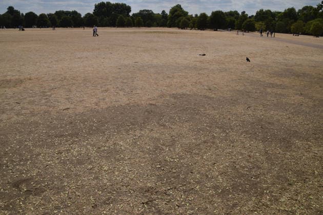 August 2, 2026, London, England, United Kingdom: A view of a completely dry Hyde Park as a drought is declared in half of England, including the whole of London, following a series of record-breaking heatwaves. London United Kingdom  - ZUMAv130 20260802_zip_v130_013 Copyright: xVukxValcicx