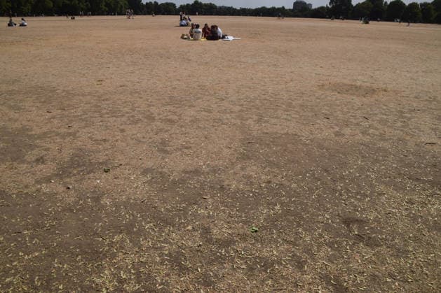 News Bilder des Tages August 2, 2026, London, England, United Kingdom: A view of a completely dry Hyde Park as a drought is declared in half of England, including the whole of London, following a series of record-breaking heatwaves. London United Kingdom - ZUMAv130 20260802_zip_v130_014 Copyright: xVukxValcicx