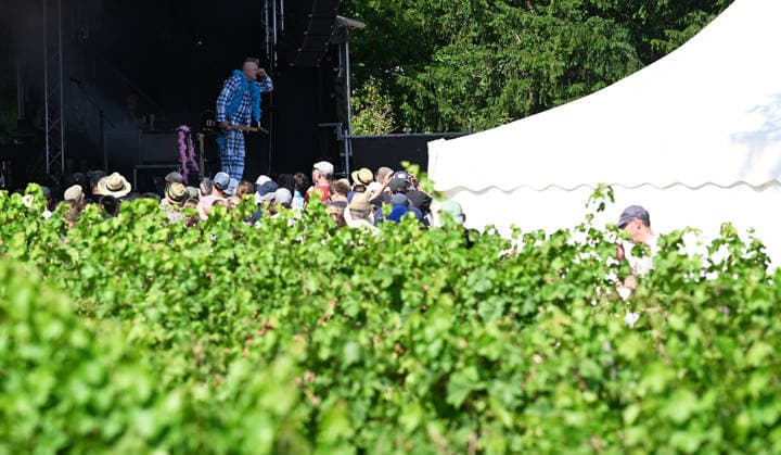 Musikfestival Heimspiel Knyphausen (31. Juli bis 2. August 2026), Konzert der Band >> Fortuna Ehrenfeld << am Sonntag, 2. August 2026. Auftritt der Musikband >> Fortuna Ehrenfeld << beim Festival >> Heimspiel Knyphausen << am 02. August 2026. Zu sehen Martin Bechler (Gesang, Gitarre, Keyboard), Jenny Thiele (Keyboard, Gesang), Jannis Bentler (Schlagzeug) inmitten von Weinreben. Eltville-Erbach Eltville am Rhein Rheinland-Pfalz Deutschland Weingut Baron von Knyphausen *** Heimspiel Knyphausen Music Festival, July 31–August 2, 2026, Concert by the band Fortuna Ehrenfeld on Sunday, August 2, 2026. Performance by the band Fortuna Ehrenfeld at the Heimspiel Knyphausen Festival on August 2, 2026. Featuring Martin Bechler on vocals, guitar, and