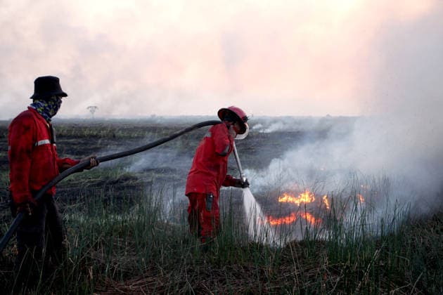 (260803) -- SOUTH SUMATRA, Aug. 3, 2026 -- This photo taken on Aug. 2, 2026 shows firefighters trying to extinguish a peatland fire in Ogan Ilir regency, South Sumatra province, Indonesia. Indonesia recorded more than 5,000 wildfire hotspots as of mid-July 2026, with the cumulative increase outpacing previous El Nino years, the Meteorology, Climatology and Geophysics Agency said Thursday. (Photo by Xinhua) INDONESIA-SOUTH SUMATRA-PEATLAND FIRE MuhamadxFadjri 