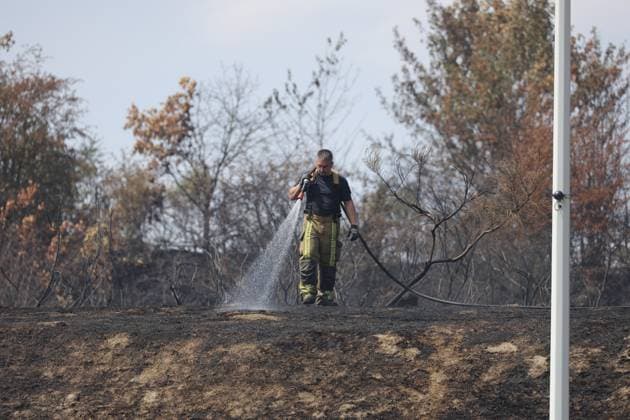 Firefighters pictured at the scene of a brush fire along the E25 highway in Bastogne, on Monday 03 August 2026. A major brush fire broke out Monday morning in the municipality of Bastogne, near the Withimont highway rest area.  JULIENxWARNAND 182681973