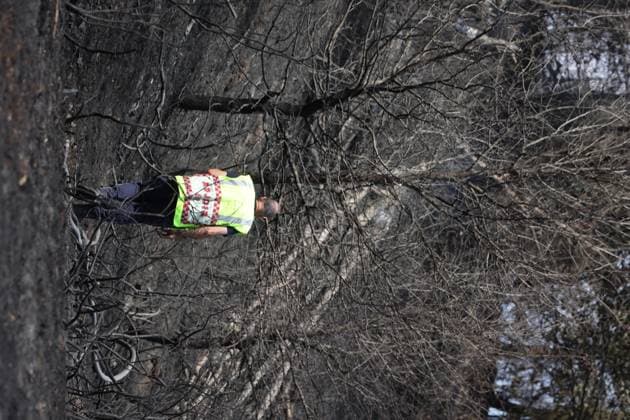 Firefighters pictured at the scene of a brush fire along the E25 highway in Bastogne, on Monday 03 August 2026. A major brush fire broke out Monday morning in the municipality of Bastogne, near the Withimont highway rest area.  JULIENxWARNAND 182681991