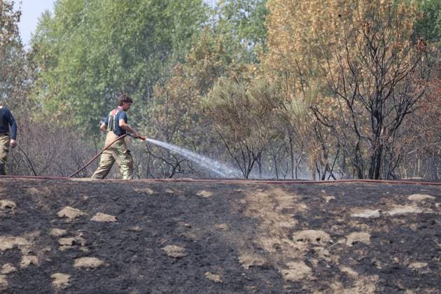 Firefighters pictured at the scene of a brush fire along the E25 highway in Bastogne, on Monday 03 August 2026. A major brush fire broke out Monday morning in the municipality of Bastogne, near the Withimont highway rest area.  JULIENxWARNAND 182682000