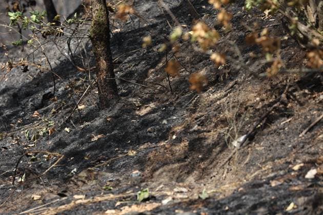The scene of a brush fire along the E25 highway in Bastogne, on Monday 03 August 2026. A major brush fire broke out Monday morning in the municipality of Bastogne, near the Withimont highway rest area.  JULIENxWARNAND 182682046