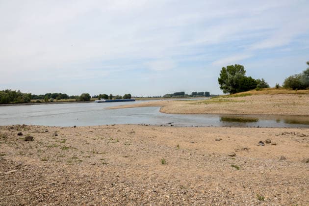 Niedriger Rheinpegel am Pegel Wesel Für den 03.08.2026 wurde durch die Wasserstraßen- und Schifffahrtsverwaltung des Bundes ein Pegelstand von 85 cm veröffentlicht. Für die Binnenschifffahrt stellt der niedrige Pegel ein Problem dar. Sinkt er zu weit ab, dürfen Schiffe nicht mehr voll beladen werden. Binnenschiff auf dem Rhein bei Wesel. Wesel, Nordrhein-Westfalen, DEU, Deutschland, 03.08.2026 *** Low water level on the Rhine at the Wesel gauge. The Federal Waterways and Shipping Administration published a water level of 85 cm for August 3, 2026. The low water level poses a problem for inland waterway shipping. If it drops too low, ships are no longer allowed to be fully loaded. Inland waterway vessel on the Rhine near Wesel. Wesel, No