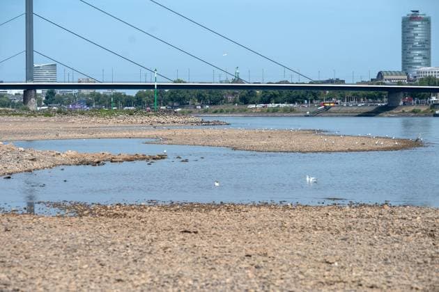 Der Rhein an der Düsseldorfer Altstadt führt extremes Niedrigwasser ** NUR FÜR REDAKTIONELLE ZWECKE ** EDITORIAL USE ONLY **<p>Der Rhein auf der Höhe der Düsseldorfer Altstadt führt extremes Niedrigwasser , fotografiert am Montag,03.August.2026. Deutschland NRW Düpsseldorf Copyright: KaixKitschenberg *** The Rhine near Düsseldorf’s Old Town is at an extremely low water level ** FOR EDITORIAL USE ONLY ** EDITORIAL USE ONLY ** p The Rhine near Düsseldorf’s Old Town is at an extremely low water level, photographed on Monday, August 3, 2026, Germany, North Rhine-Westphalia, Düsseldorf. Copyright KaixKitschenberg Copyright: KaixKitschenberg doc86zzkdz52jpfx01rjl1 ,EDITORIAL USE ONLY