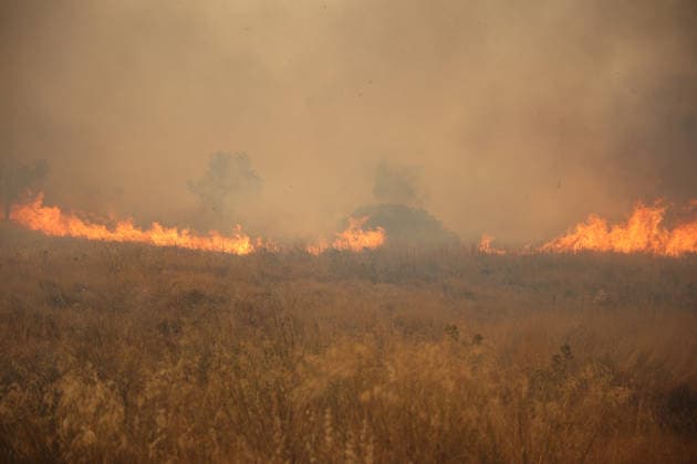 Wildfire in Greece s Megara region MEGARA, GREECE - AUGUST 3: Wildfire continues to burn for a third consecutive day in the Megara region, west of Athens, Greece on August 3, 2026. Emergency services are working to contain the blaze amid challenging weather conditions across the area. Aris Oikonomou Anadolu Megara Greece. Editorial use only. Please get in touch for any other usage.  Copyright: x2026xAnadoluxArisxOikonomoux