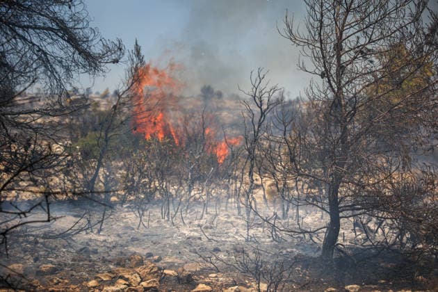 Wildfire in Greece s Megara region MEGARA, GREECE - AUGUST 3: Wildfire continues to burn for a third consecutive day in the Megara region, west of Athens, Greece on August 3, 2026. Emergency services are working to contain the blaze amid challenging weather conditions across the area. Aris Oikonomou Anadolu Megara Greece. Editorial use only. Please get in touch for any other usage.  Copyright: x2026xAnadoluxArisxOikonomoux